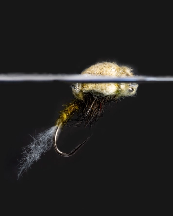 The May West emerging The May West emerging