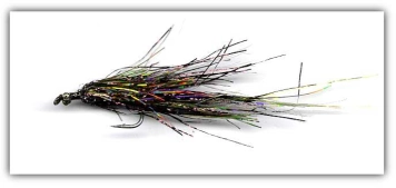 Moyerfokker Moyerfokker