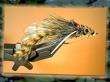 Whitlock's Frog Diver Whitlock's Frog Diver