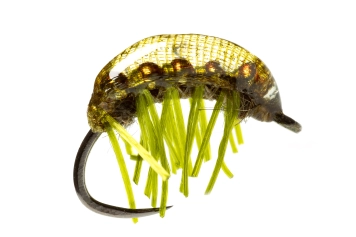 Finished shrimp Finished shrimp