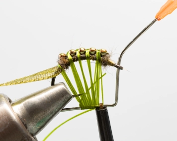 Floss wrapped Floss wrapped