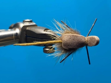 From the top From the top