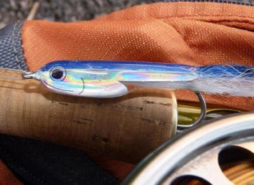 Fleye Foil Fleye Foil