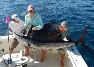 First Pez Vela... First Pez Vela...