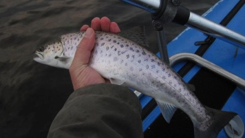 What today could bring What today could bring