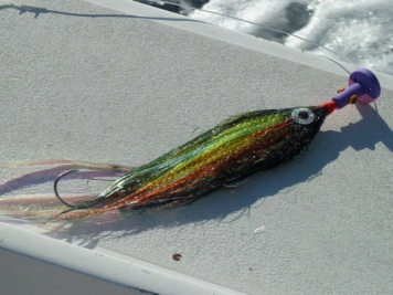 The fly which caught my first sail The fly which caught my first sail