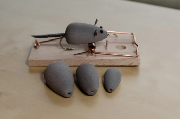 Rainy's Mouse Bodies Rainy's Mouse Bodies