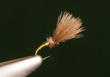 BWO Emerger BWO Emerger