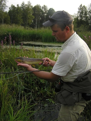 Small, but beautiful Small, but beautiful