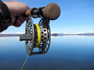 Blocked and lost Blocked and lost