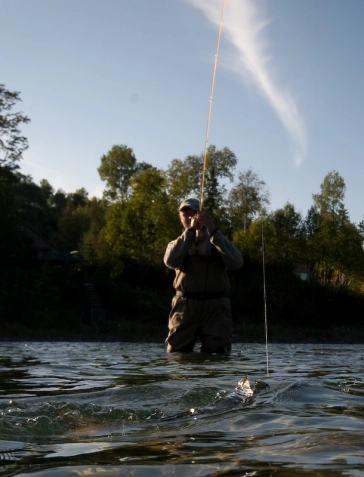 Ending the fighting Ending the fighting