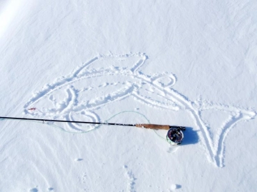 Winter dreams Winter dreams