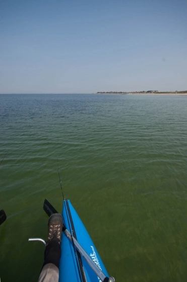 Pontoon spring Pontoon spring