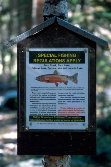 Regulations Regulations