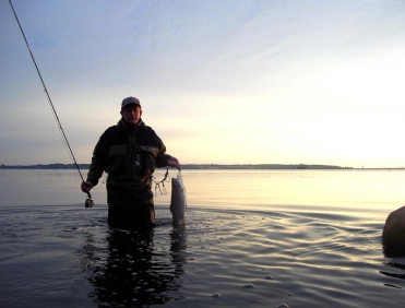 Success in the early morning Success in the early morning