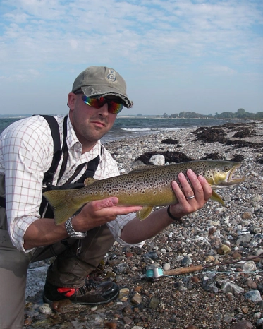 Almost a brown trout Almost a brown trout