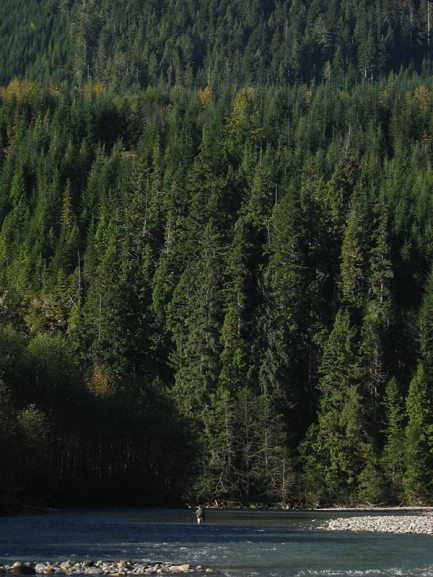 Large forest, a little water and a small angler Large forest, a little water and a small angler