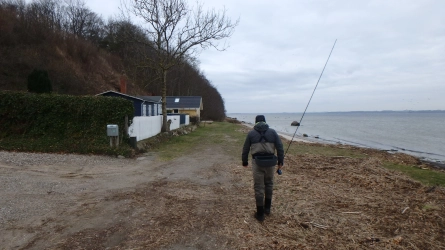 On the coast On the coast