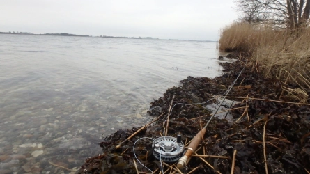 Danish coast Danish coast