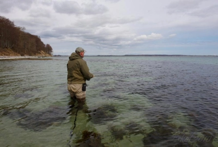 Wading staff Wading staff