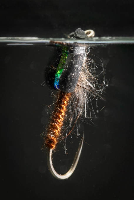 In the water In the water