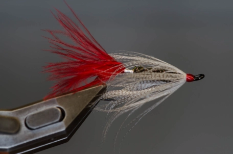 Wet Hen on hook Wet Hen on hook