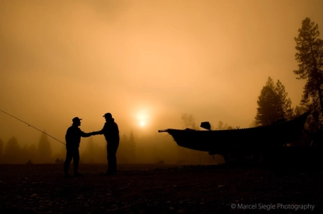 Ready for a new day Ready for a new day