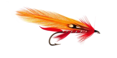 Chief Needahbeh Chief Needahbeh