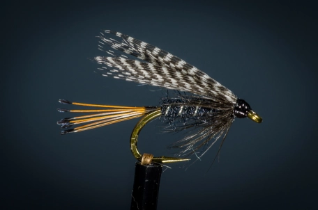 Teal and Black Teal and Black