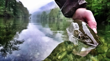 Looking at me? Looking at me?