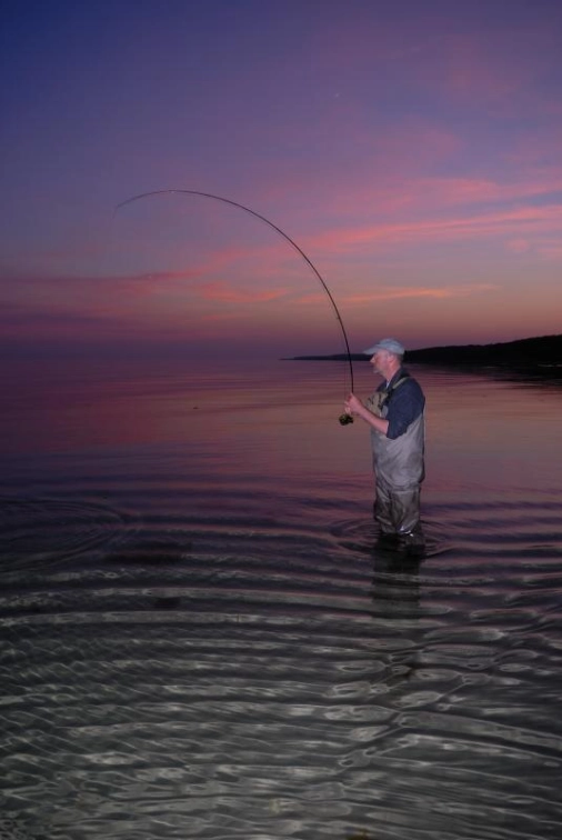 Silhouette and color Silhouette and color