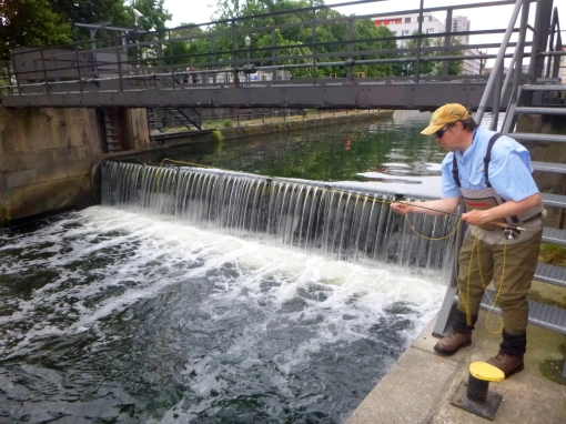 At the wier At the wier
