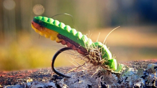 Firehole 316 Firehole 316