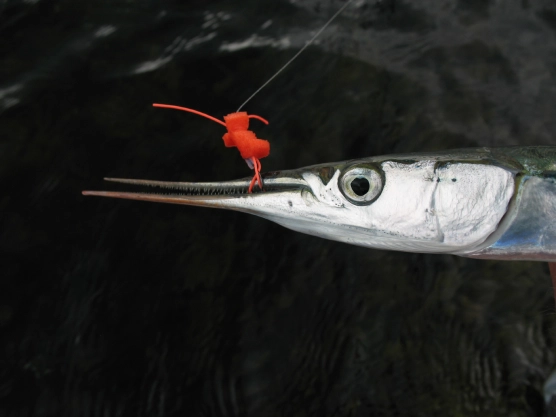 It works! - image It works! - image