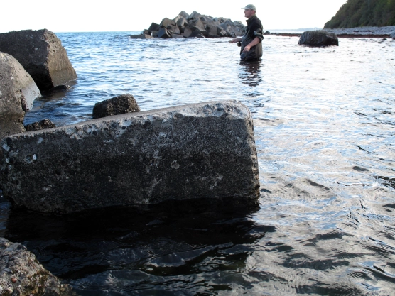 Rainbows and virus - image Rainbows and virus - image