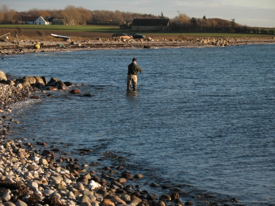 Bay of plenty Bay of plenty