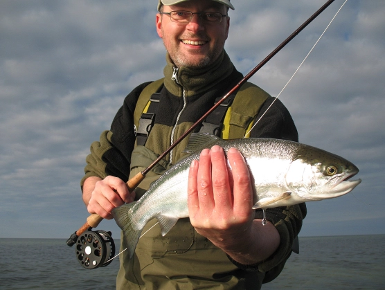 Too much work - image Too much work - image