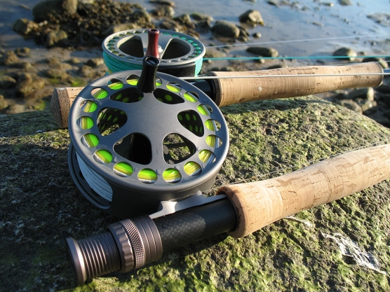 Fishing! - image Fishing! - image