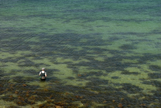 Too much work - image Too much work - image