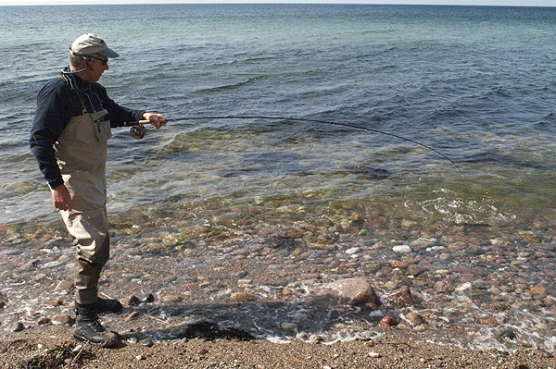 Step on it! - image Step on it! - image