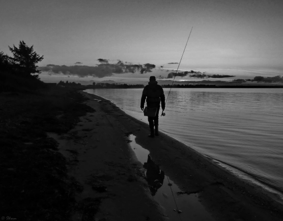 Walking along the beach Walking along the beach