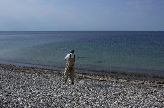 From the beach From the beach