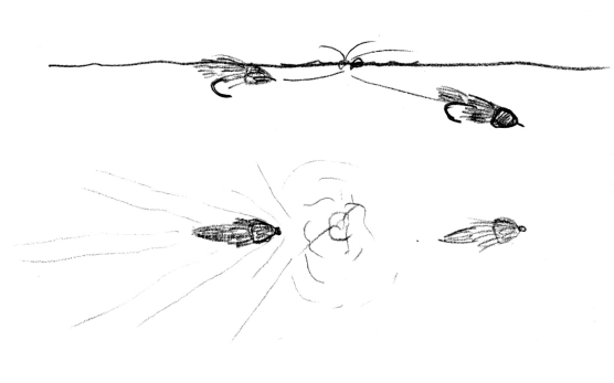 Fishing the muddler Fishing the muddler