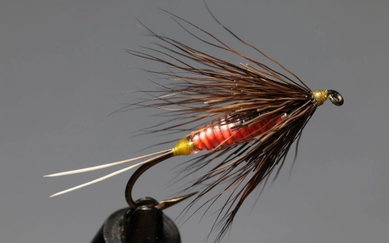 Grant nymph Grant nymph