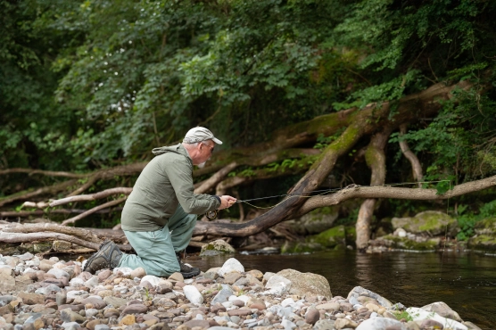 Upland summer stream Upland summer stream