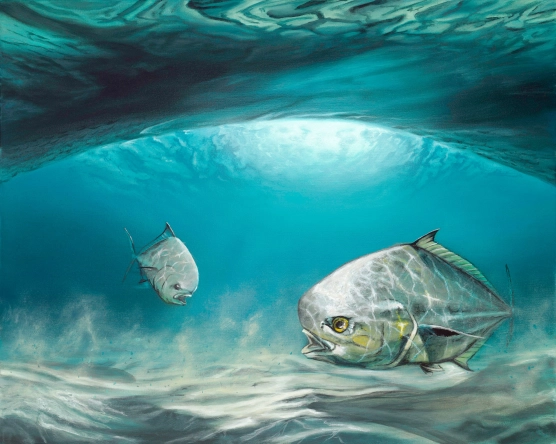 Hydro Feed Hydro Feed