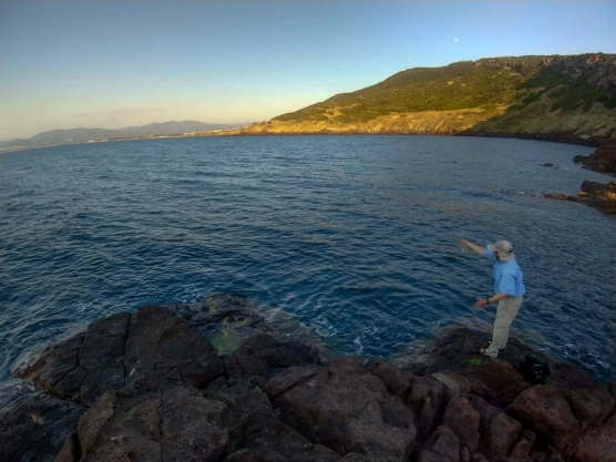 Spot for Mahi Mahi Spot for Mahi Mahi