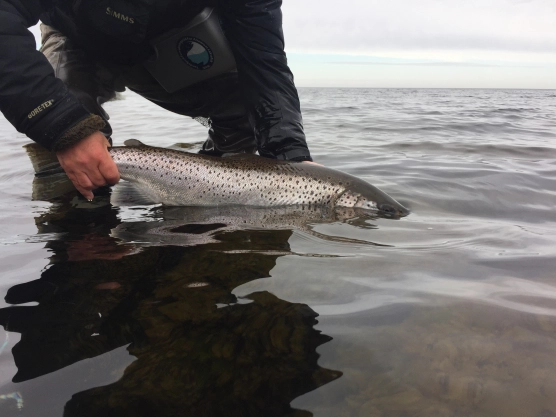 Ready to go back Ready to go back