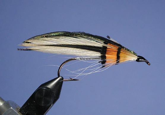 Moose River Moose River