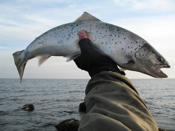 Balance act Balance act